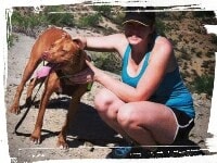 Pitbull on hiking trail, coming when called
